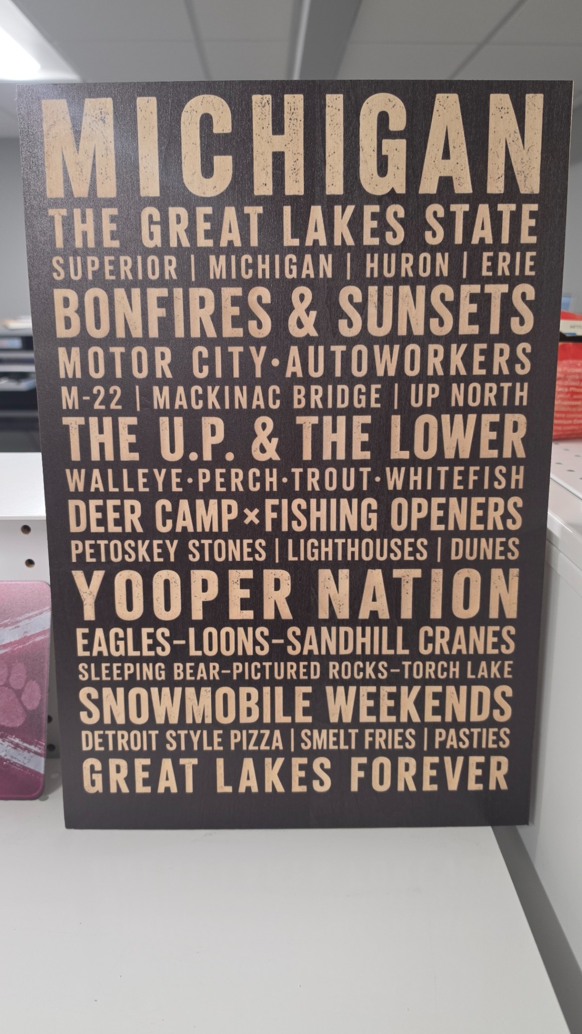 Michigan Great Lakes Wood Sign